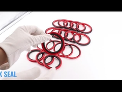 Σφραγίδες βημάτων σφραγίδων HBTS SPGO Glyd